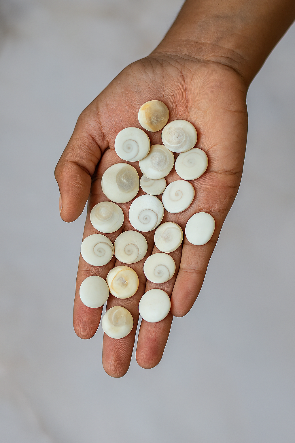 Gomti Chakra- 21 Pcs