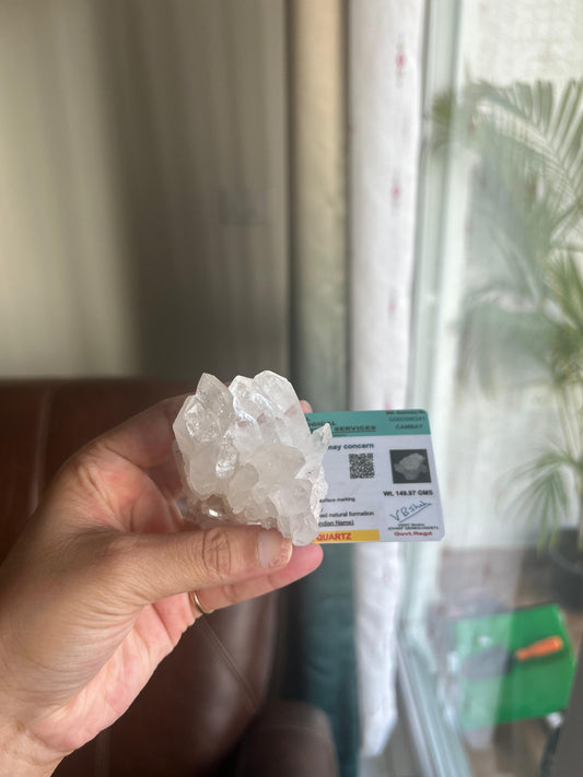 Clear Quartz Cluster