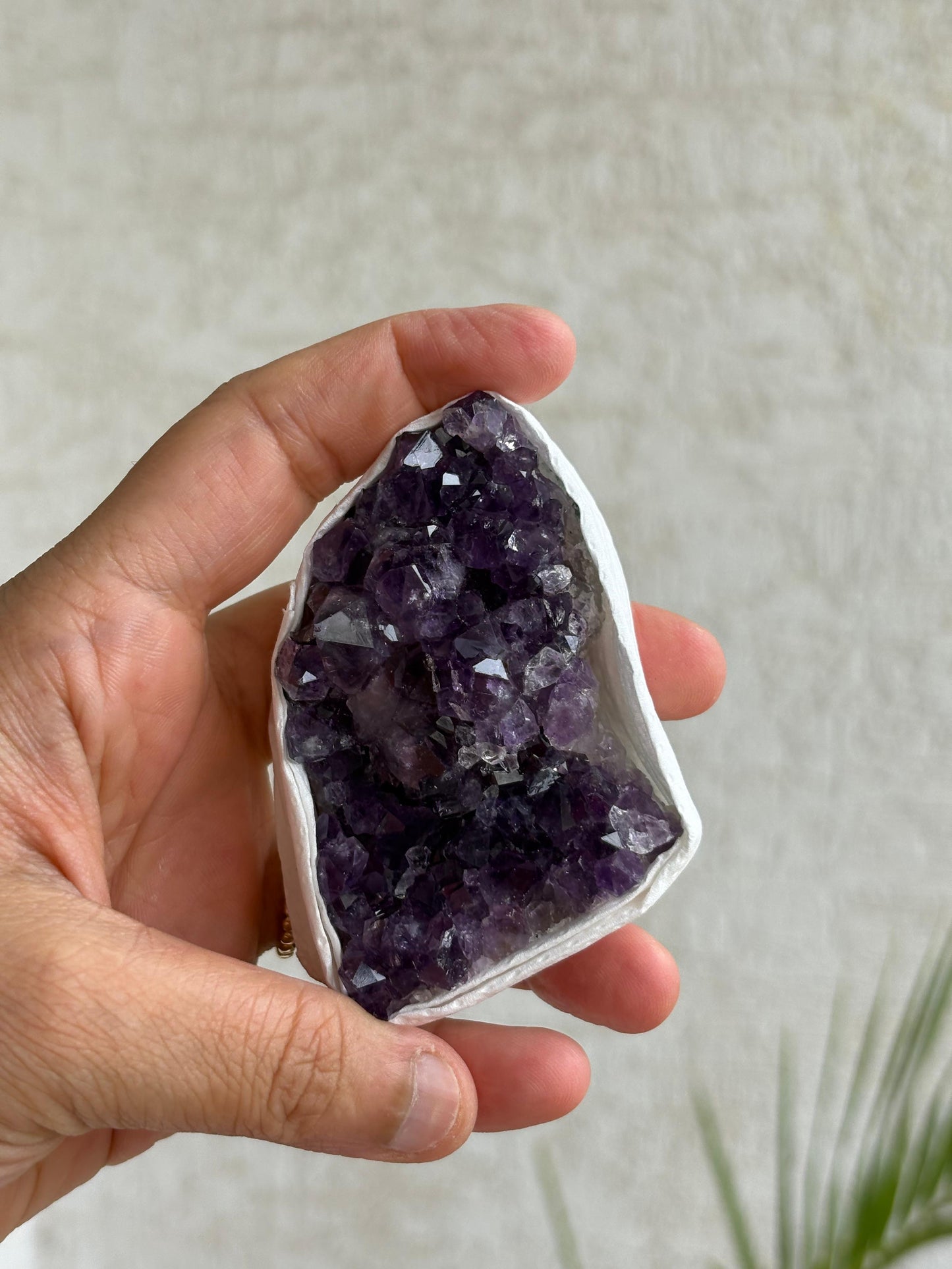 Brazilian Amethyst Clusters (Unique Pieces) With Authenticity Certificate