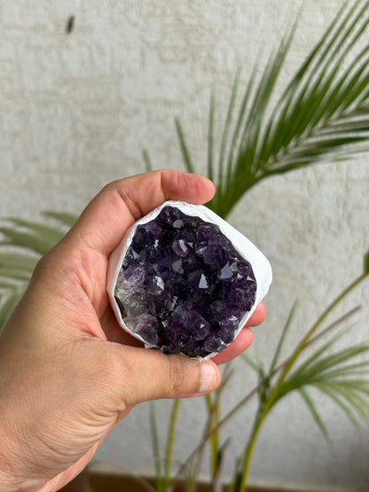 Brazilian Amethyst Clusters (Unique Pieces) With Authenticity Certificate