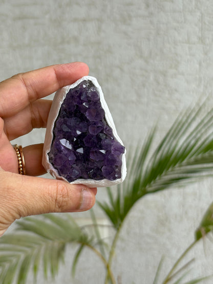 Brazilian Amethyst Clusters (Unique Pieces) With Authenticity Certificate