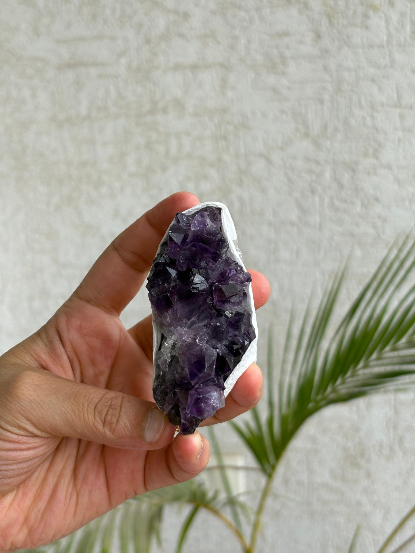 Brazilian Amethyst Clusters (Unique Pieces) With Authenticity Certificate